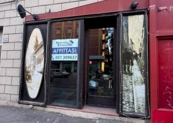 Commercial Activity Bologna - photo 1