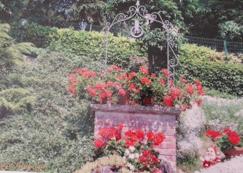 Villa Cocconato - foto 34