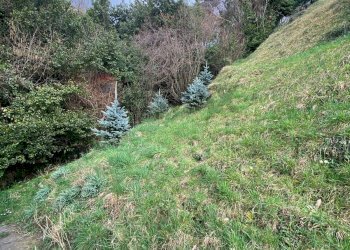 Giardino - Rustic Via Statale
 
snc, Ne - photo 11