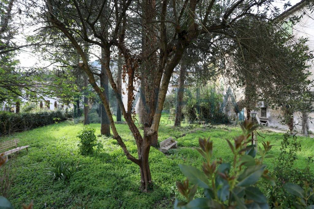 Terreno - Stabile - Palazzo piazza Guglielmo Marconi, Dovadola - foto 3