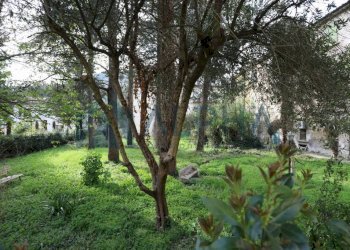 Terreno - Stabile - Palazzo piazza Guglielmo Marconi, Dovadola - foto 3