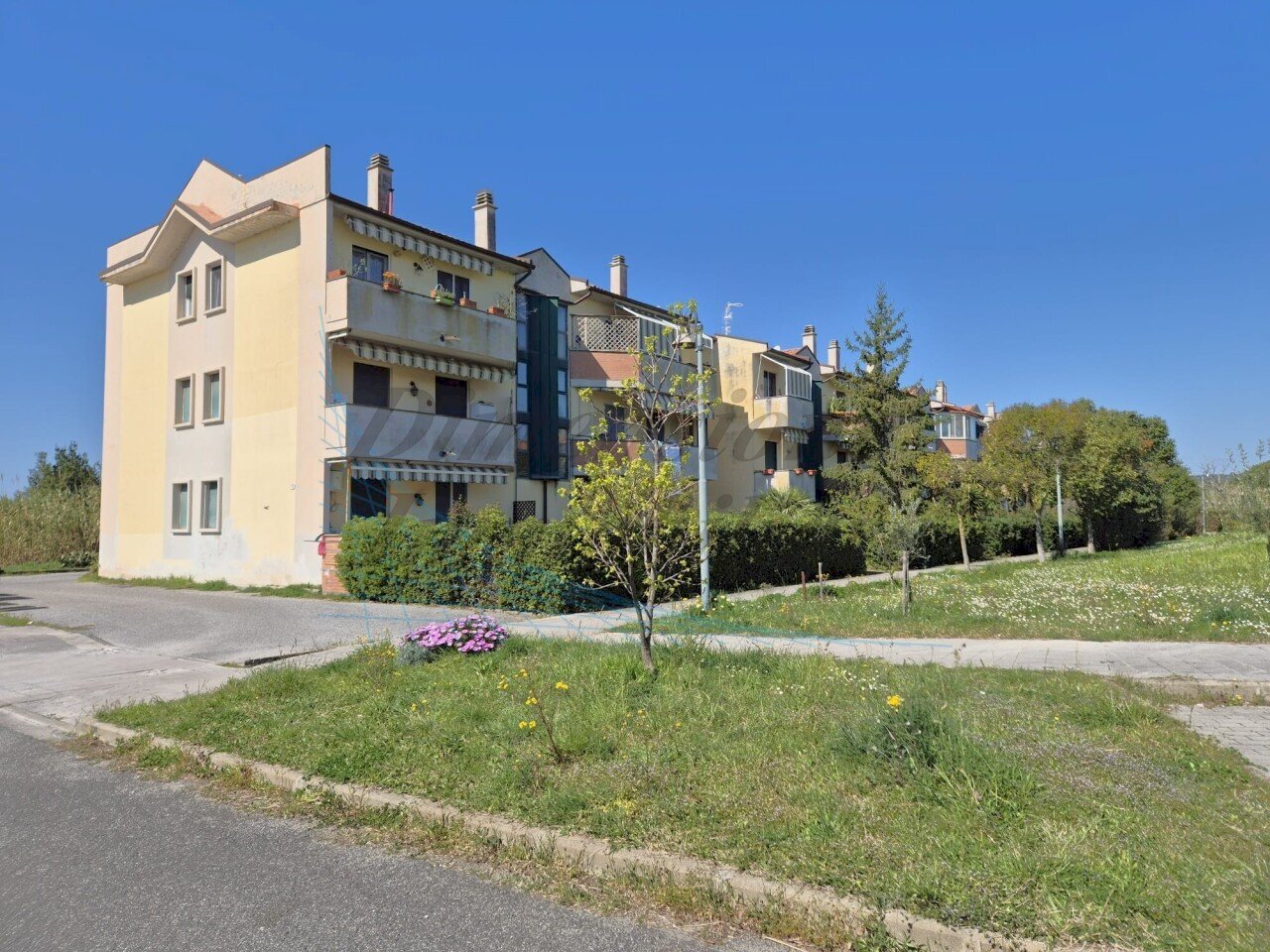 WhatsApp Image 2026-03-25 at 12.01.13 (2).jpeg - Appartamento Via Sergio Tofano, Rosignano Marittimo - foto 1