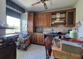 photo_5_2026-03-24_12-24-47.jpg - Appartamento Via Sergio Tofano, Rosignano Marittimo - foto 8