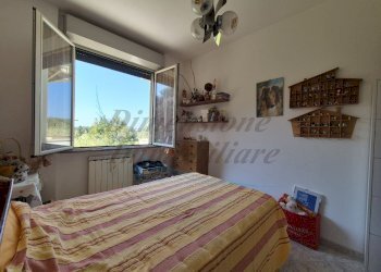 photo_20_2026-03-24_12-24-47.jpg - Appartamento Via Sergio Tofano, Rosignano Marittimo - foto 23