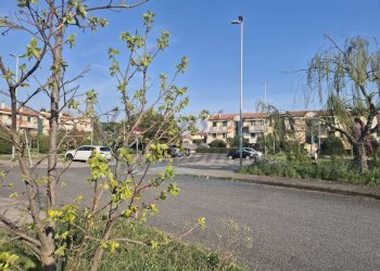 photo_1_2026-03-25_11-09-38.jpg - Appartamento Via Sergio Tofano, Rosignano Marittimo - foto 30