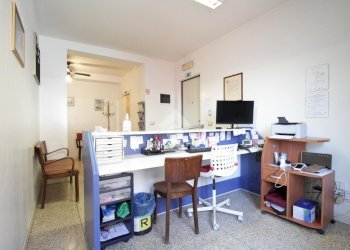 Ufficio Via Via Battindarno, Bologna (zona Santa Viola) - foto 13