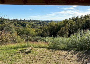 Independent house Castagnole Monferrato - photo 8