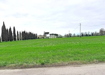 Foto 8 - Four-room apartment via dei Girasoli
7, Montelibretti - photo 8