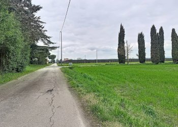 Foto 26 - Four-room apartment via dei Girasoli
7, Montelibretti - photo 26