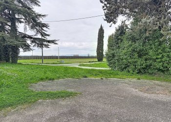 Foto 27 - Four-room apartment via dei Girasoli
7, Montelibretti - photo 27