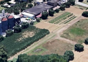 Foto 7 - Terreno edificabile via Ascolana, Alba Adriatica - foto 7