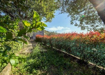 Foto 36 - Appartamento Via Egoli
 
26, Genova - foto 36