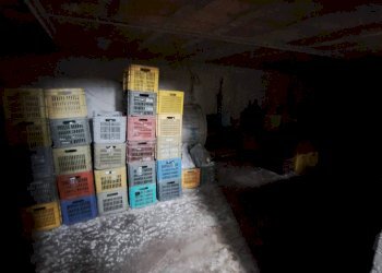 Foto 5 - Appartamento Marigliano - foto 5