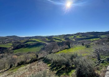 Foto 2 - Rustico Contrada San Marco
 
snc, Ponzano di Fermo - foto 2