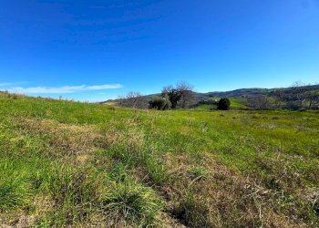 Foto 10 - Rustico Contrada San Marco
 
snc, Ponzano di Fermo - foto 10