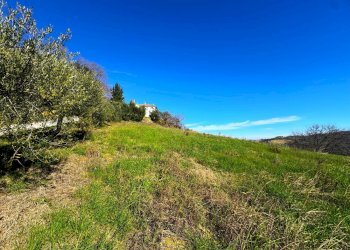 Foto 11 - Rustico Contrada San Marco
 
snc, Ponzano di Fermo - foto 11