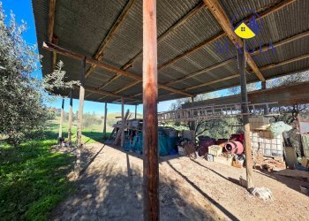 Foto 4 - Rustico Castel di Lama - foto 4