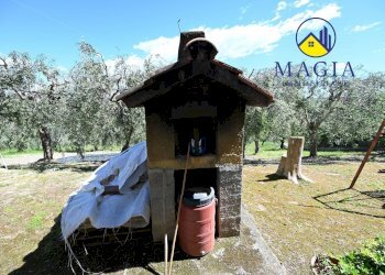 Foto 31 - Rustic Castel di Lama - photo 31