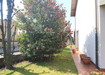 Giardino - Casa semi indipendente via Cavour
 
40, Buguggiate - foto 6