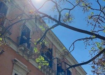 Edificio all\'aperto - Attività Commerciale Via Sisto
 
52, Catania - foto 4