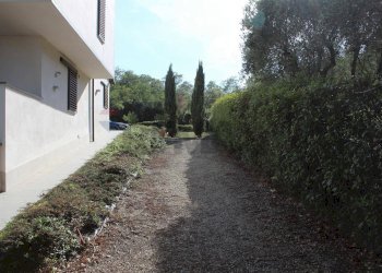 Giardino - Villa Lamporecchio - foto 4