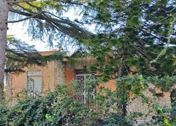 Giardino - Villa VIA SALVO D'ACQUISTO
 
8, Caltagirone - foto 42
