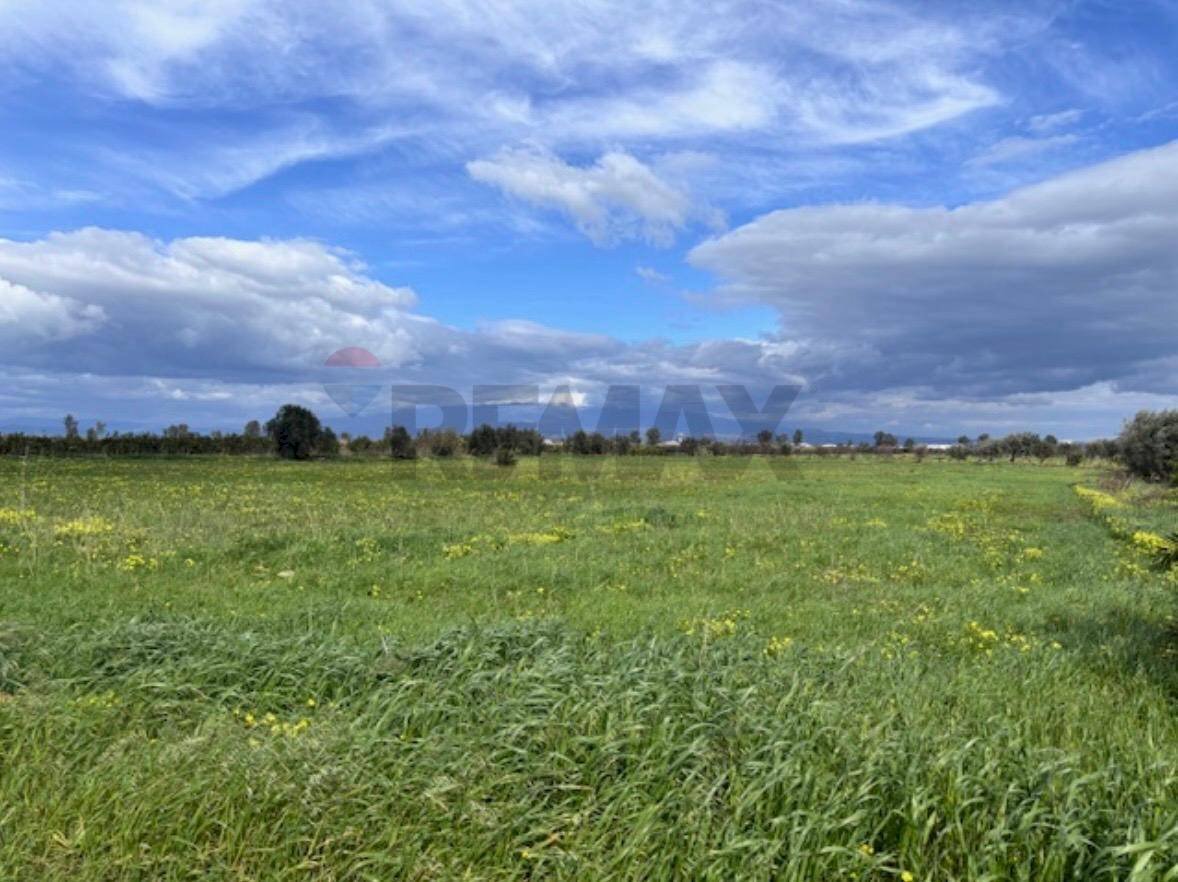Giardino - Agricultural land C.DA TORRICELLA-SIGONA, Lentini - photo 2
