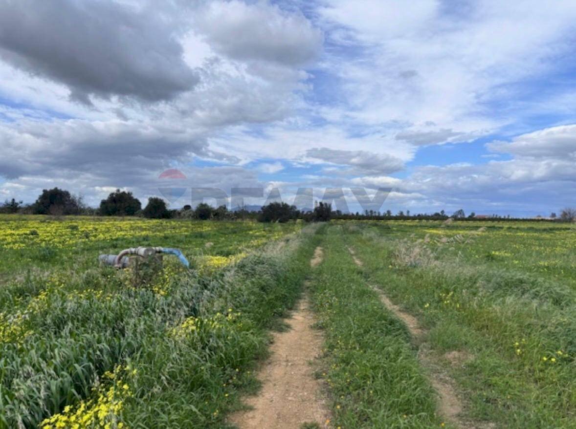 Giardino - Agricultural land C.DA TORRICELLA-SIGONA, Lentini - photo 3