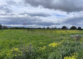 Giardino - Agricultural land C.DA TORRICELLA-SIGONA, Lentini - photo 1