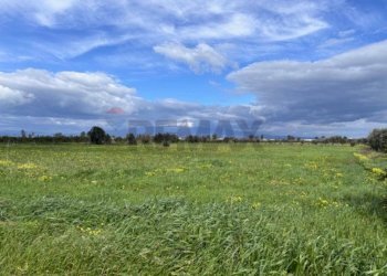 Giardino - Agricultural land C.DA TORRICELLA-SIGONA, Lentini - photo 2