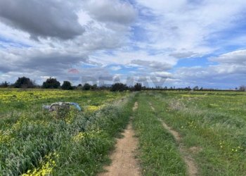 Giardino - Agricultural land C.DA TORRICELLA-SIGONA, Lentini - photo 3