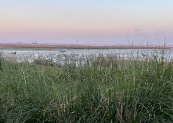 Vista dell\'acqua - Villa a Schiera Marano Lagunare - foto 55