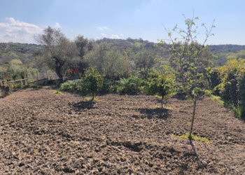 Giardino - Independent house Via Solacciano
 
29, Minturno - photo 4