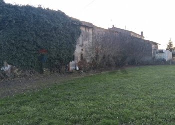 Giardino - Rustico Via Ave
 
6, Isola della Scala - foto 6