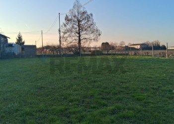 Giardino - Rustico Via Ave
 
6, Isola della Scala - foto 8