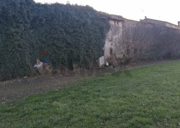Giardino - Rustico Via Ave
 
6, Isola della Scala - foto 11