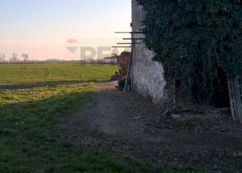 Giardino - Rustico Via Ave
 
6, Isola della Scala - foto 14