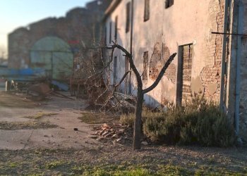 Casa all\'aperto - Rustico Via Ave
 
6, Isola della Scala - foto 16