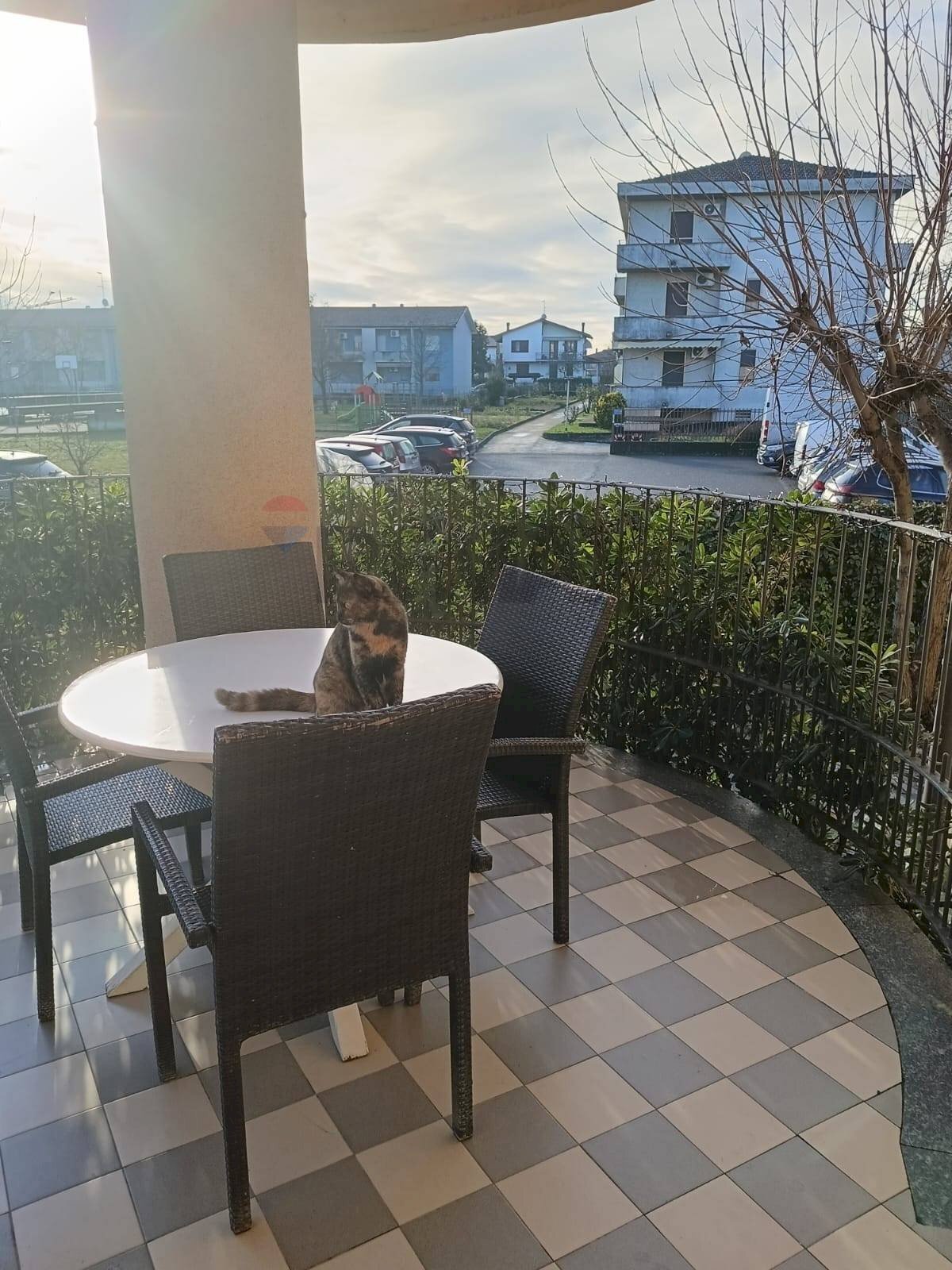 Terrazza - Quadrilocale Rottofreno - foto 3