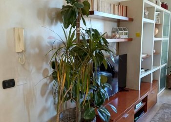 Soggiorno - Quadrilocale Rottofreno - foto 10