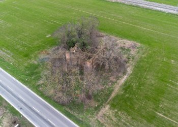 Non correlato - Terreno edificabile Frazione rimale, Fidenza - foto 2