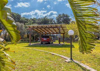 Giardino - Villa S.V. Baddelonga Russeglia
138, Sassari - photo 11