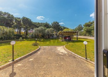 Giardino - Villa S.V. Baddelonga Russeglia
138, Sassari - photo 50