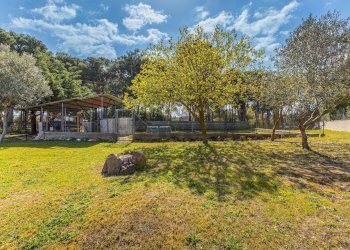 Giardino - Villa S.V. Baddelonga Russeglia
138, Sassari - photo 65