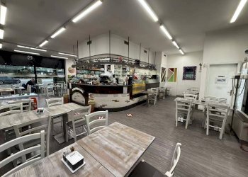 Non correlato - Bar Tavola Calda - Fredda Padova - foto 1