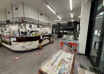 Parcheggio - Bar Tavola Calda - Fredda Padova - foto 7