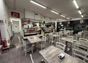 Cucina - Bar Tavola Calda - Fredda Padova - foto 9