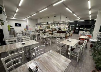 Non correlato - Bar Tavola Calda - Fredda Padova - foto 10