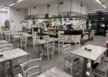 Non correlato - Bar Tavola Calda - Fredda Padova - foto 11