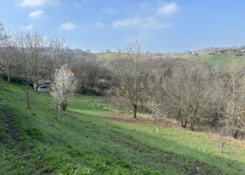 Giardino - Villa Località Mirandola
 
200, Salsomaggiore Terme - foto 24